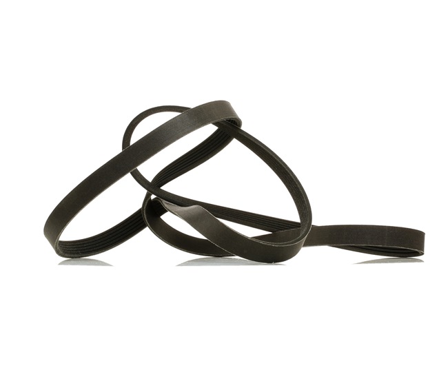 V-Ribbed Belt RIDEX 305P0185P 305P0185P - photo 1