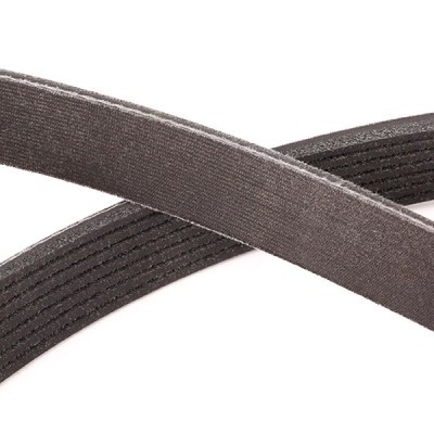 V-Ribbed Belt RIDEX 305P0419P 305P0419P - photo 5
