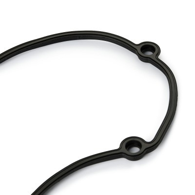 Timing Case Cover Gasket RIDEX 568G0015 568G0015 - photo 3