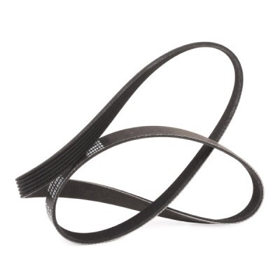 V-Ribbed Belt RIDEX 305P0339P 305P0339P - photo 4