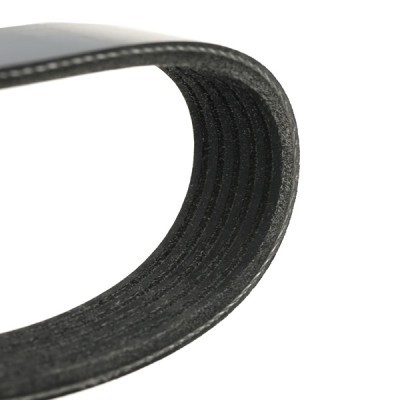 V-Ribbed Belt RIDEX 305P0157 305P0157 - photo 4