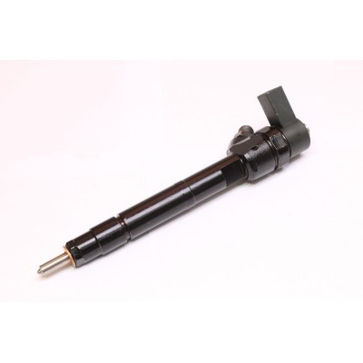 Injector Nozzle RIDEX 3902I0010R 3902I0010R - photo 3