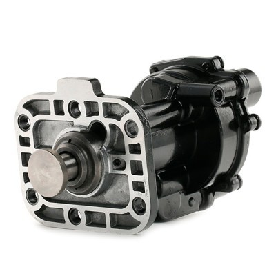 Vacuum Pump RIDEX 387V0025 387V0025 - photo 3
