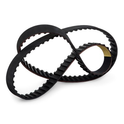 Timing Belt RIDEX 306T0224 306T0224 - photo 3