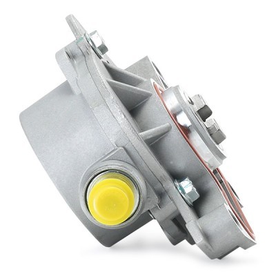 Vacuum Pump RIDEX 387V0016 387V0016 - photo 8