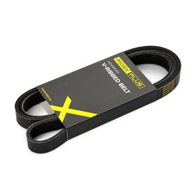 V-Ribbed Belt RIDEX 305P0169P 305P0169P - photo 2
