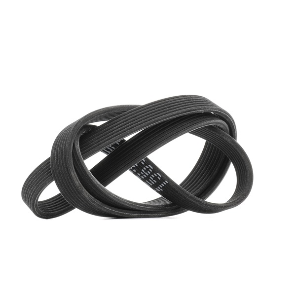 V-Ribbed Belt RIDEX 305P0486 305P0486 - photo 1