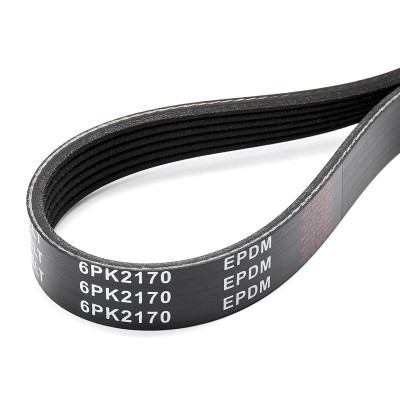 V-Ribbed Belt RIDEX 305P0248 305P0248 - photo 5