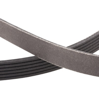V-Ribbed Belt RIDEX 305P0216P 305P0216P - photo 6