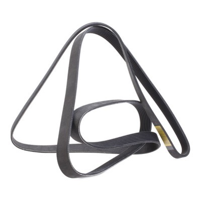 V-Ribbed Belt RIDEX 305P0109 305P0109 - photo 4