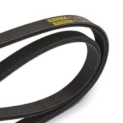 V-Ribbed Belt RIDEX 305P0202P 305P0202P - photo 4