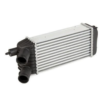 Intercooler, Charger RIDEX 468I0399 468I0399 - photo 3