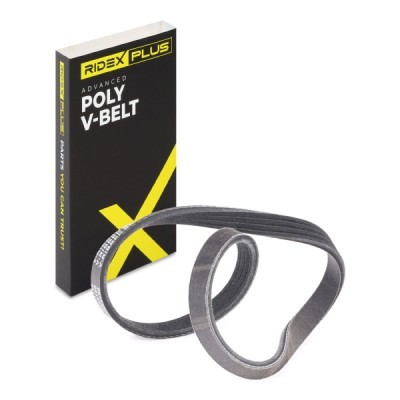 V-Ribbed Belt RIDEX 305P0168P 305P0168P - photo 2