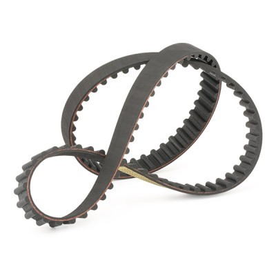 Timing Belt RIDEX 306T0062 306T0062 - photo 3