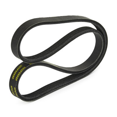 V-Ribbed Belt RIDEX 305P0008P 305P0008P - photo 4