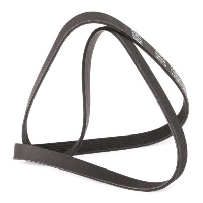 V-Ribbed Belt RIDEX 305P0175P 305P0175P - photo 3
