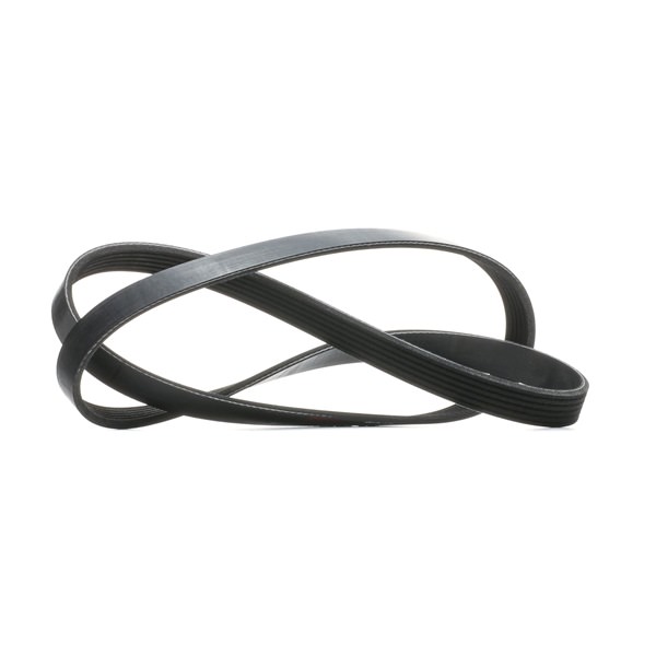 V-Ribbed Belt RIDEX 305P0584 305P0584 - photo 1