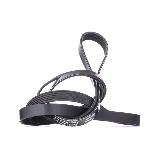 V-Ribbed Belt RIDEX 305P0145 305P0145 - photo 1