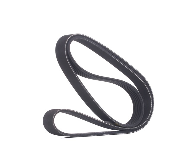 V-Ribbed Belt RIDEX 305P0067 305P0067 - photo 1