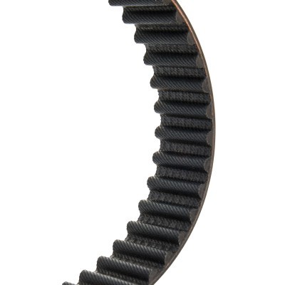 Timing Belt RIDEX 306T0181P 306T0181P - photo 4
