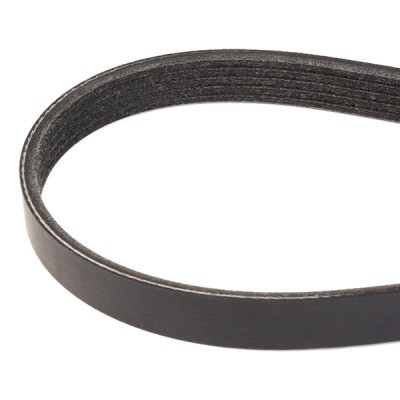 V-Ribbed Belt RIDEX 305P0336 305P0336 - photo 3