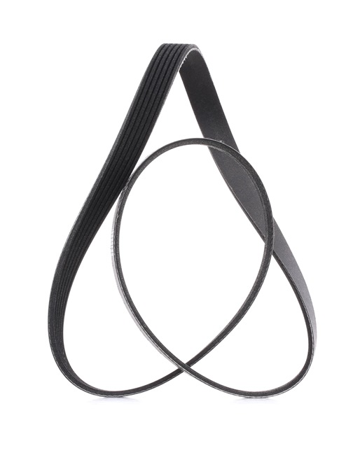V-Ribbed Belt RIDEX 305P0302P 305P0302P - photo 1