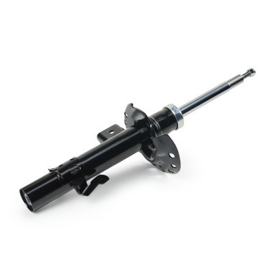 Shock Absorber RIDEX 854S17856 854S17856 - photo 4