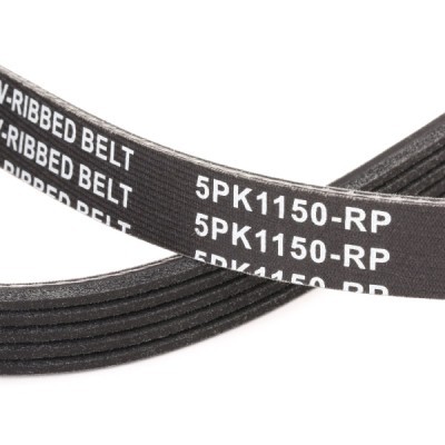 V-Ribbed Belt RIDEX 305P0152P 305P0152P - photo 5