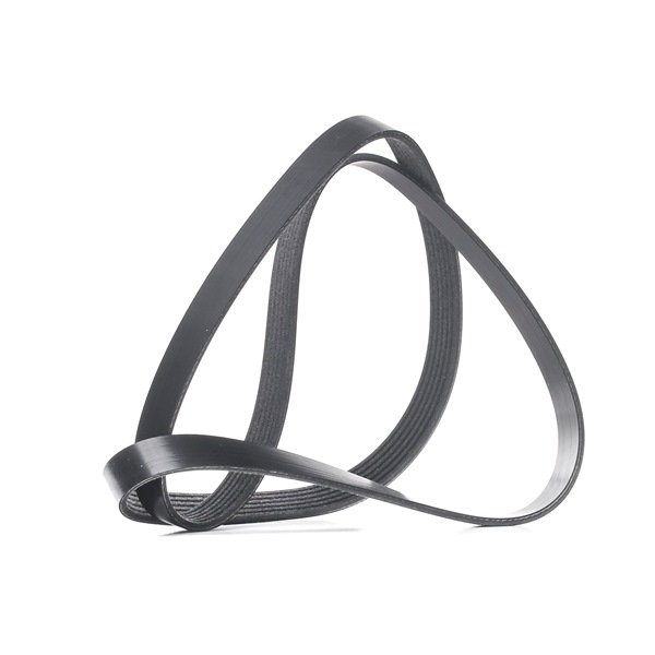 V-Ribbed Belt RIDEX 305P0421 305P0421 - photo 1