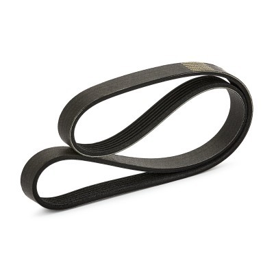 V-Ribbed Belt RIDEX 305P0794P 305P0794P - photo 2