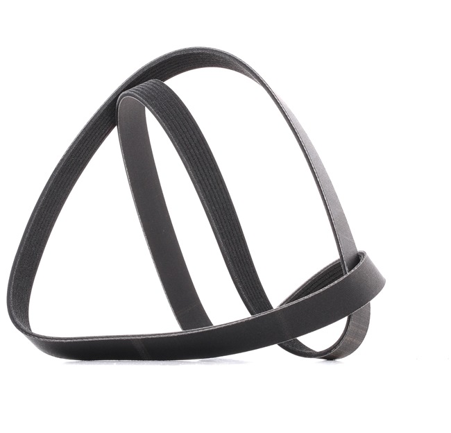 V-Ribbed Belt RIDEX 305P0492P 305P0492P - photo 1