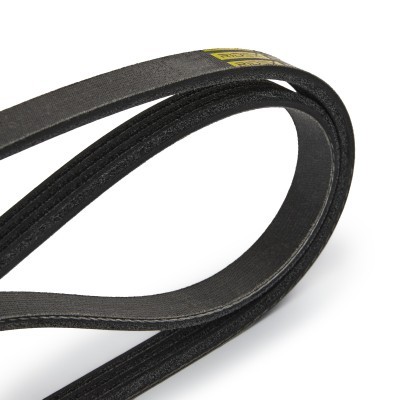 V-Ribbed Belt RIDEX 305P0019P 305P0019P - photo 5