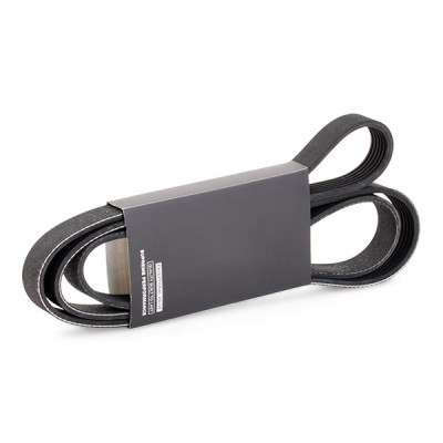 V-Ribbed Belt RIDEX 305P0508 305P0508 - photo 2