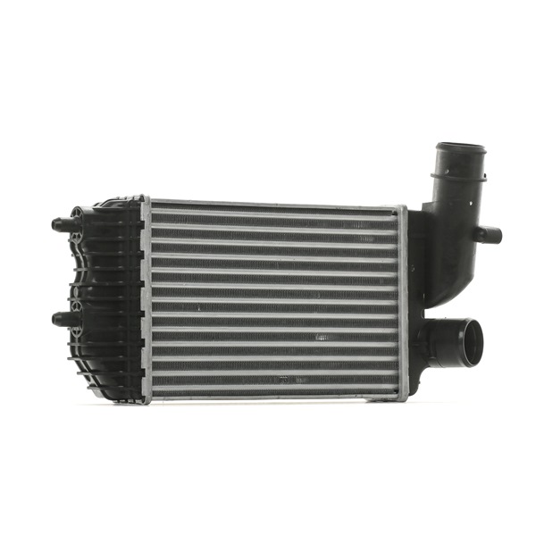 Intercooler, Charger RIDEX 468I0163 468I0163 - photo 1
