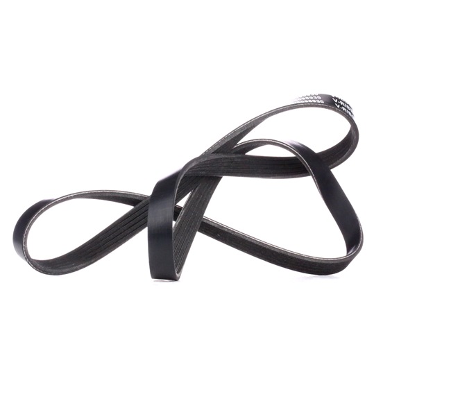 V-Ribbed Belt RIDEX 305P0213 305P0213 - photo 1