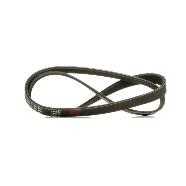 V-Ribbed Belt RIDEX 305P0064P 305P0064P - photo 1
