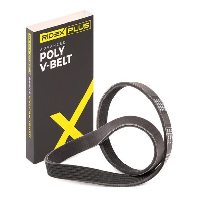 V-Ribbed Belt RIDEX 305P0317P 305P0317P - photo 2
