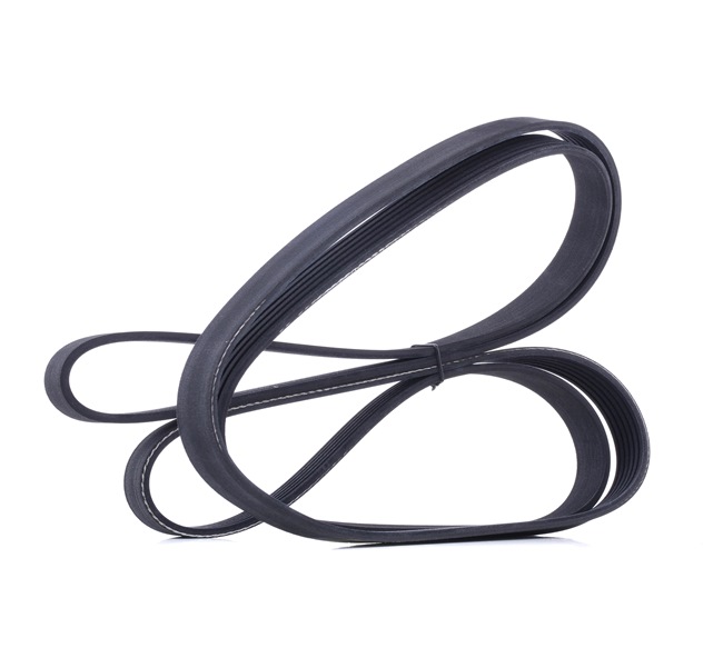 V-Ribbed Belt RIDEX 305P0365 305P0365 - photo 1