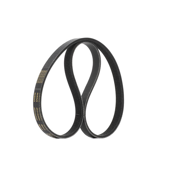 V-Ribbed Belt RIDEX 305P0125P 305P0125P - photo 1