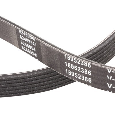 V-Ribbed Belt RIDEX 305P0092P 305P0092P - photo 5