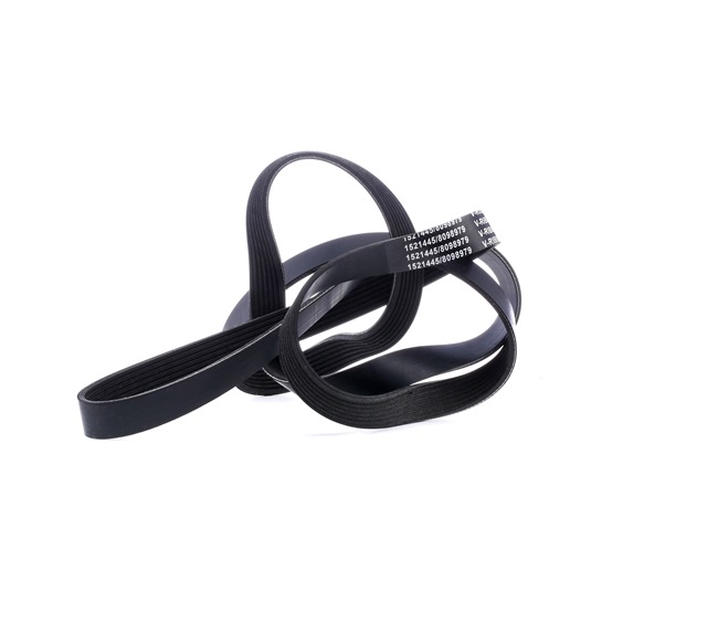 V-Ribbed Belt RIDEX 305P0229 305P0229 - photo 1