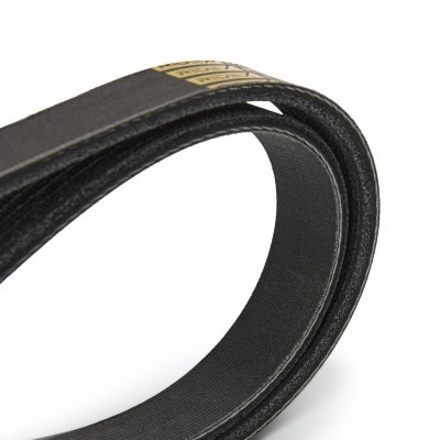 V-Ribbed Belt RIDEX 305P0404P 305P0404P - photo 4