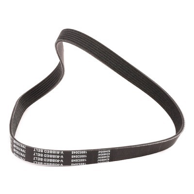 V-Ribbed Belt RIDEX 305P0419P 305P0419P - photo 3