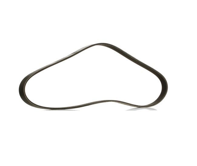 V-Ribbed Belt RIDEX 305P0053P 305P0053P - photo 1