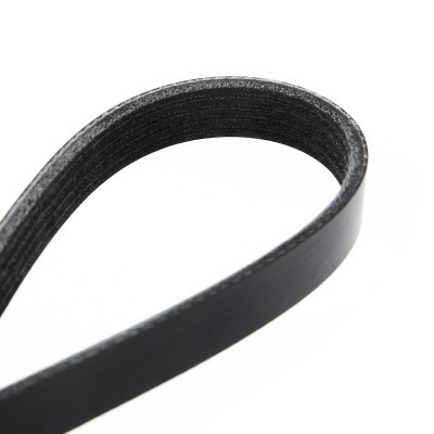 V-Ribbed Belt RIDEX 305P0160 305P0160 - photo 5