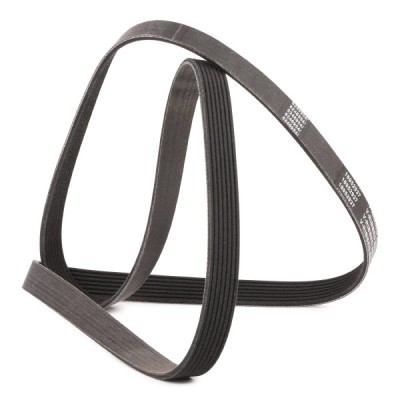 V-Ribbed Belt RIDEX 305P0344P 305P0344P - photo 3