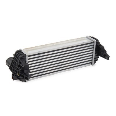 Intercooler, Charger RIDEX 468I0391 468I0391 - photo 4