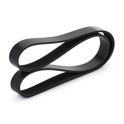 V-Ribbed Belt RIDEX 305P0636 305P0636 - photo 3
