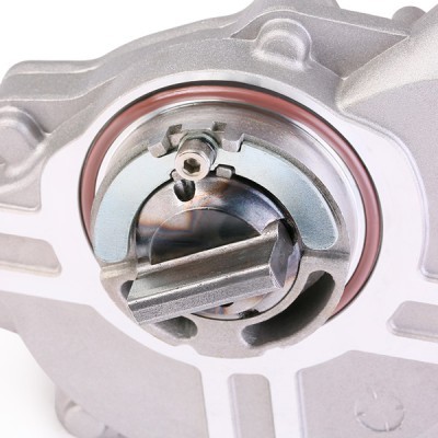 Vacuum Pump RIDEX 387V0003 387V0003 - photo 4