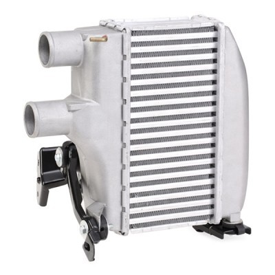 Intercooler, Charger RIDEX 468I0106 468I0106 - photo 4